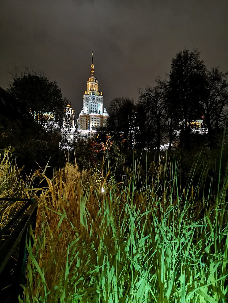 Участие в проекте освещения Ботанического сада г. Москвы "Осветим вместе" — фото 22