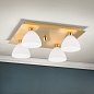 Потолочный светильник Orion Opaldesign DL 7-372/4 gold-matt/438 opal — фото 1