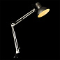 A6068LT-1SS Arte Lamp Senior офисная настольная лампа E27 1х40W — фото 1