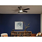 56" Guardian LED Indoor Ceiling Fan Brushed Stainless Steel люстра-вентилятор 330057BSS Kichler — фото 4