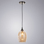 A4344SP-1AB Arte Lamp Propus подвесной светильник E27 1х60W — фото 1