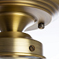 Потолочный светильник Arte Lamp FABERGE A2303PL-1SG — фото 3
