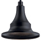 Hampshire 13.25" 1 Light Pendant/Semi Flush Textured Black уличный подвесной светильник 59057BKT Kichler — фото 3