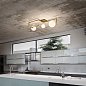 Потолочный светильник Angolo PL3 Ideal Lux 284330, латунь — фото 3