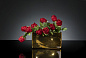 WALLET TRANSILVANIA ROSES Цветочная композиция со стеклянной вазой VGnewtrend