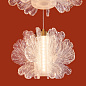 Подвесной светильник Flower Freya FR5579PL-L40BS — фото 9