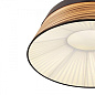 1355-5PC Подвесной светильник Zebrano Favourite