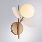 A1369AP-1SG Arte Lamp Peacock бра 40W — фото 1