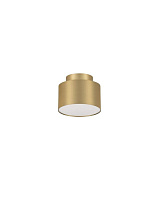 Matt Gold Aluminium, Acrylic LED 16 Watt 220-240Volt 787Lm 3000K IP20 Light Up & Down D:11 H:8.8 cm