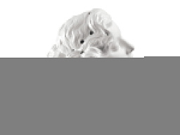 1009250 Lladro Daisy фарфоровая ваза-бюст женщины с короткими волосами