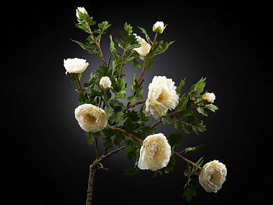 PEONIA Полиэстер Искусственное растение VGnewtrend