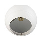 1008177 SLV LIGHT EYE ® 150 3Ph. PD QPAR111 white трехфазный трековый подвесной светильник — фото 2