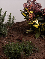 Corten Aluminium & Polycarbonate LED 3Watt DC 24V 135Lm IP65 3000K D:3.5 H:21 cm (16 cm spike)