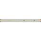 026980 Arlight Лента IC 2-50000 48V Cool 8K 12mm (2835, 144 LED/m, LUX) — фото 1