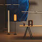 LAMSE01 Lamina Santa & Cole торшер — фото 7