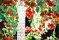 FLOWER POWER WILD RED ROSES SQUARE Светодиодный потолочный светильник из муранского стекла VGnewtrend — фото 5