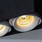 A5654PL-2BK Arte Lamp Pictor точечный накладной светильник GU10 2х50W — фото 2