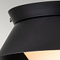 Потолочный светильник Bowtie Elstead BOWTIE-F-MB матовый черный — фото 1