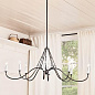 Freesia 8 Light Chandelier Anvil Iron with White Accents люстра 52456AVI Kichler — фото 5