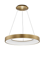 Triac Dimmable Brushed Gold Aluminium & Acrylic LED 50 Watt 220-240 Volt 2864Lm 3000K IP20 D: 60 H: 120 cm