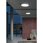 8597 Linea Light Tara R L AP PL Phase Cut потолочный или настенный светильник чёрный — фото 2