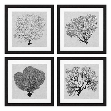 112752 Prints Shadow Sea Fans set of 4 Распечатать Eichholtz