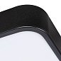 A2669PL-1BK Arte Lamp Scena потолочный светильник LED 1х100W 10000Lm 2700-7000K — фото 5