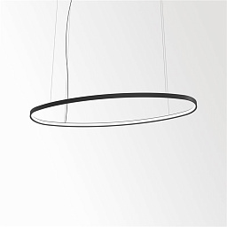 20571 9300 B Delta Light SUPERLOOP подвесной овальный светильник среднего размера