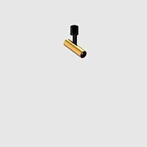 holon 20 directional, surface mounted, single, brushed gold