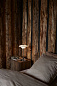 Портативная настольная лампа Louis Poulsen PH 2 1 — фото 5