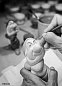 Фарфоровая статуэтка гнома из «Белоснежки» Grumpy Lladro 01009323 — фото 2