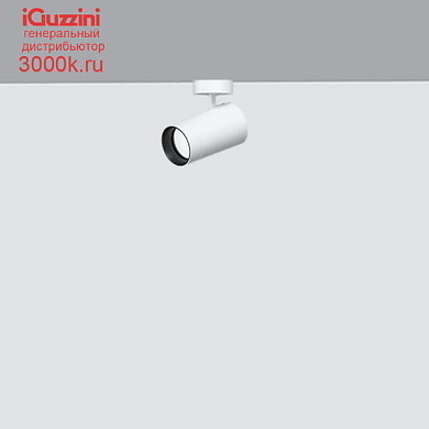 QC51 Palco Recessed iGuzzini Palco single surface Ø51 - flood - remote driver