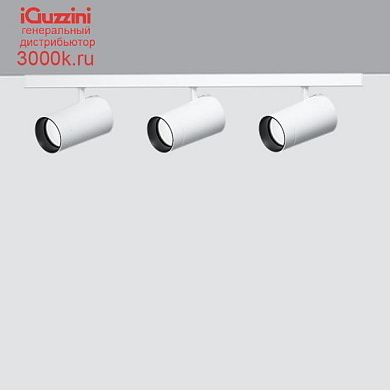 QC55 Palco Recessed iGuzzini Palco linear surface 3 x Ø51 - flood - remote driver