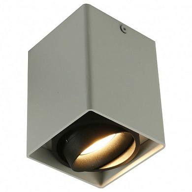 A5655PL-1WH Накладной светильник 5655 Arte Lamp
