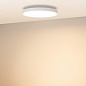 055367 Arlight Светильник SP-ESTELY-R450-40W Warm3300-MIX (WH, 80 deg, 230V, TRIAC) — фото 2