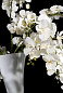 VASE MADAME BUTTERFLY Ткань Искусственное растение VGnewtrend — фото 1