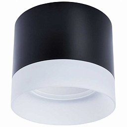 A5554PL-1BK Arte Lamp Castor потолочный светильник с двумя шарами на планке