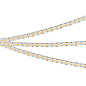 046745 Arlight Лента MICROLED-M420-8mm 24V Warm2700 (9.6 W/m, IP20, 2216, 5m) — фото 2