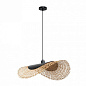 A7063SP-1BK Arte Lamp Woodstock подвесной светильник 40W — фото 1