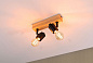 66771 Ceiling spotlights Arvid Потолочные прожекторы Paulmann