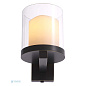 116356 Wall Lamp Donovan Eichholtz настенный светильник Донован