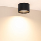 055010 Arlight Светильник SP-BISCOTTO-R120-12W Warm3300-MIX (BK, 80 deg, 230V) — фото 2