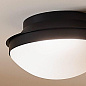 Bretta 13.5" 2 Light Flush Mount Black  потолочный светильник 52544BK Kichler — фото 1