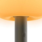 FIF1-50 Grau Fire FLOOR BLACK BRASS Торшер черный — фото 4