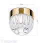 BALL Orion потолочный светильник DL 7-659/1 gold/499 золотой