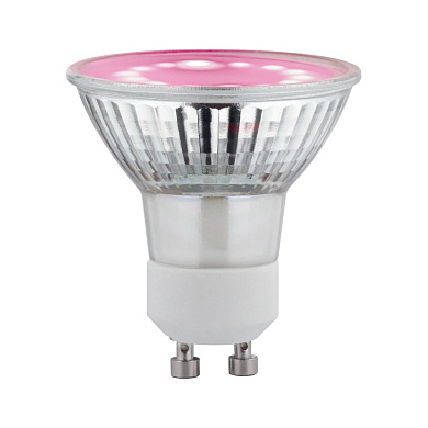 28974 Paulmann LED Reflector 95лм 3,5Вт 1100К Светильник для растений