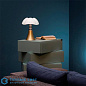 PIPISTRELLO MEDIUM настольная лампа Martinelli Luce 620/MED/DIM/OT