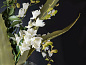 ETERNITY - ATHENA Искусственное растение VGnewtrend — фото 6
