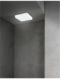 6110041 Nova Luce Cube потолочный светильник с квадратным корпусом для ванной комнаты