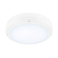 1008833 SLV OUTDOOR BULKHEAD V 360 20W 830/840/856 IP65 IK10 White потолочный светильник — фото 2